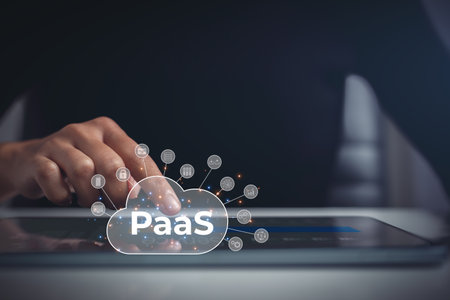 Customer accessing application or software platform as a service.の写真素材