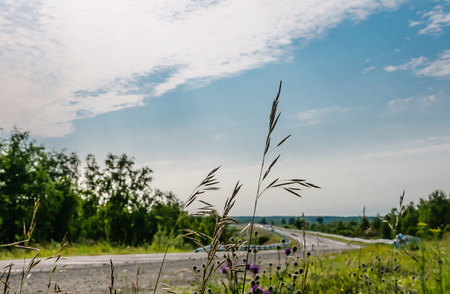 Turn of old country road at cloudy summer day with field grass in the foregroundの写真素材