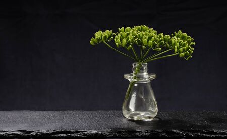 A twig of dill in little glass bowl on dark shale plate located on black backgroundの写真素材