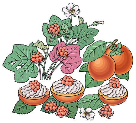 Sweets, berries, fruits hand drawn illustration