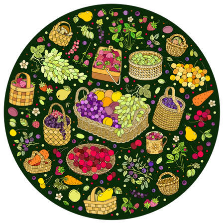 A lot of fruits, vegetables and berries in basketsのイラスト素材