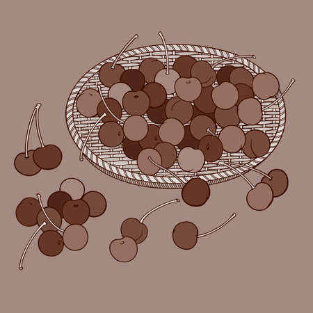 Cherry in basket. Cartoon vector illustrationのイラスト素材