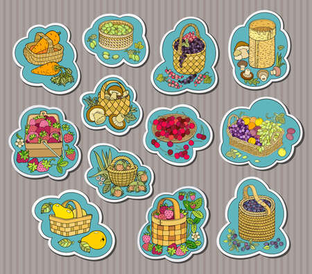 Funny hand drawn berries, fruits, vegetables in basketsのイラスト素材