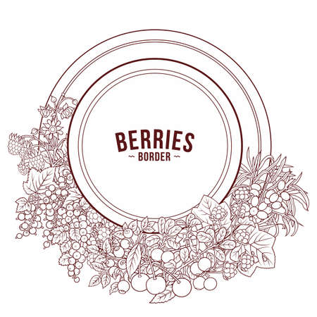 Berries and fruits hand drawn doodles illustrationのイラスト素材