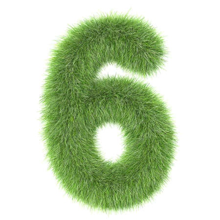 3d Grass creative cartoon nature decorative number 6の写真素材