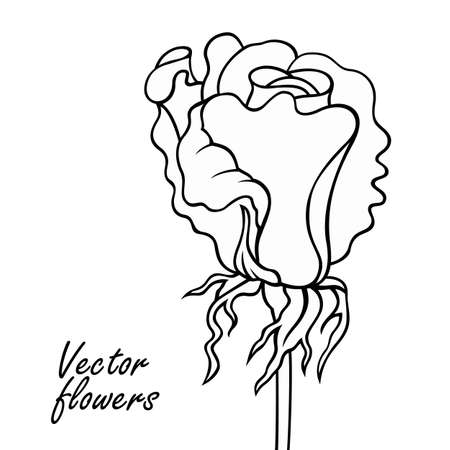 Rose line art vector hand drawn illustration.のイラスト素材