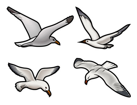 Cartoon cute doodle Seagulls set. Colorful vector funny illustration. Isolated on white background.のイラスト素材