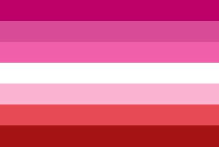 Lipstick Lesbian flag without lipsのイラスト素材