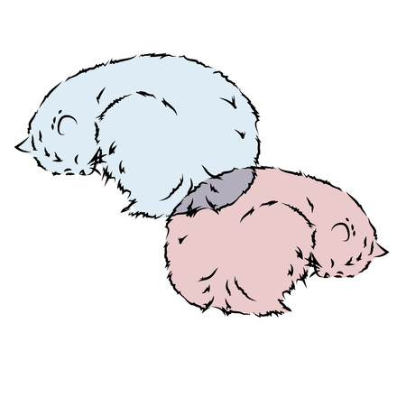 two kittens sleeping vectorのイラスト素材