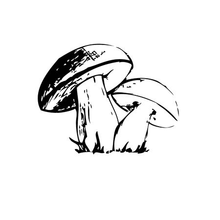 mushrooms  hand-drawn sketch vectorのイラスト素材