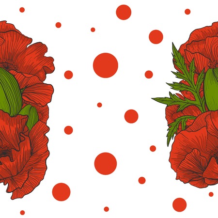 Hand drawn poppies vector. Bright colored poppies - buds and leaのイラスト素材