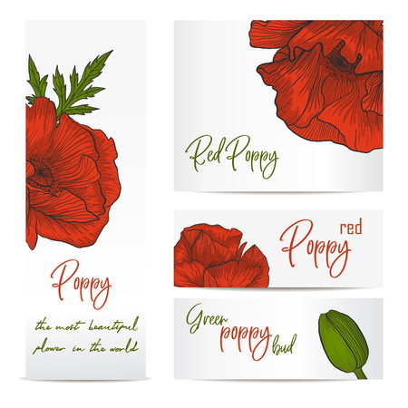 Red poppies  flowers invitation brochure template card layout. Background design for banners.のイラスト素材