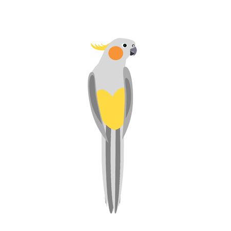 Parrot corella isolate on white background in vector flat.のイラスト素材