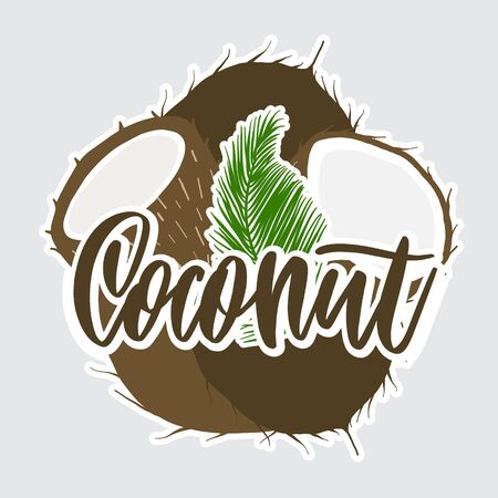 Coconut hand lettering vector label.のイラスト素材