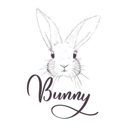 Fluffy bunny - easter  holiday card  vector.のイラスト素材