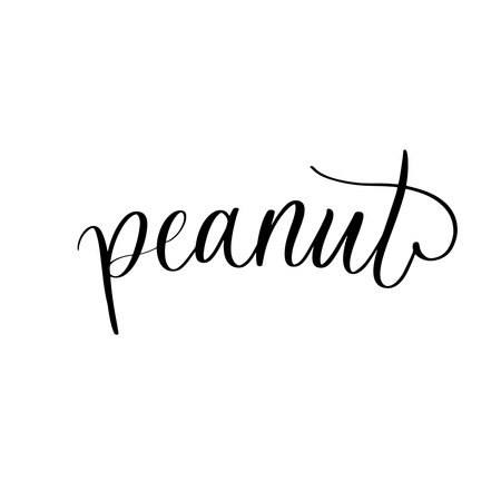 Peanut - handmade lettering calligraphy inscription.