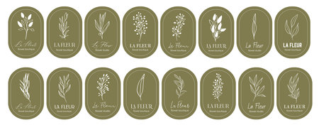 Logo design template and monogram concept in trendy linear style with arch - floral frame with copy space for text or letter - emblem for fashion, beauty and jewelery, Wedding invitation, sociaのイラスト素材