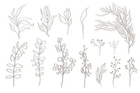 Set of tree branches, eucalyptus, leaves, herbs and flowers silhouettesのイラスト素材