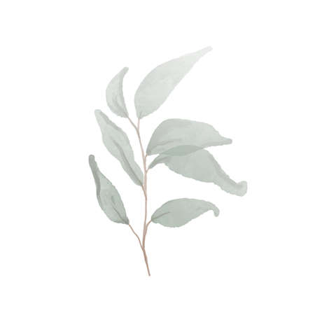Watercolor green leaf vector illustrationのイラスト素材