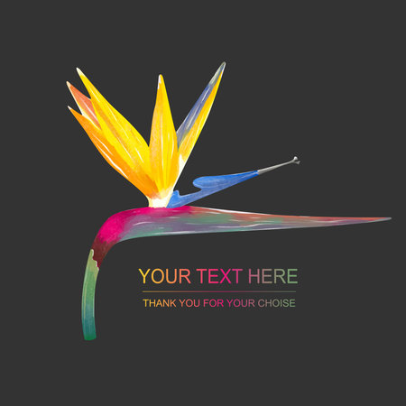 Vector logo with strelizia. Simple sign for flower shop, organic shop, restaurant with bird of paradise flowerのイラスト素材