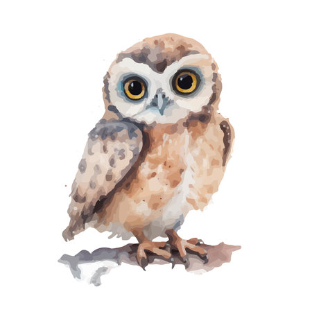 owl hand painted watercolor illustration isolated on white backgroundのイラスト素材