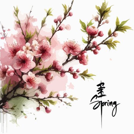 Cherry blossom branch with sakura flower. Sakura on white background. Watercolor cherry budのイラスト素材