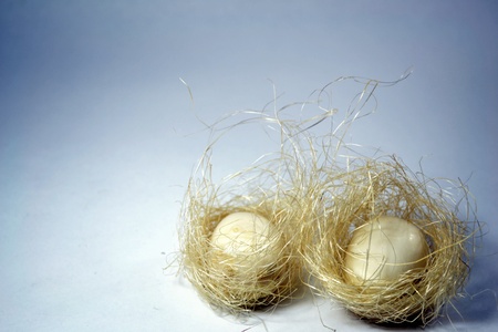 Golden Eggsの写真素材