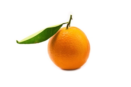 Orange on white backgroundの写真素材