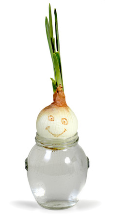 onions in a glass jar with water on an isolated white backgroundの写真素材