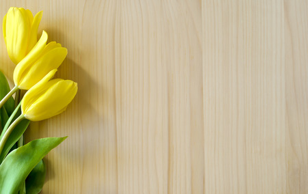 bouquet of three yellow tulips resting on wooden red shield, template for greeting cardの写真素材