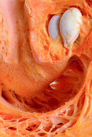Macro photography of a piece of sliced ripe orange pumpkins with white seeds.の写真素材