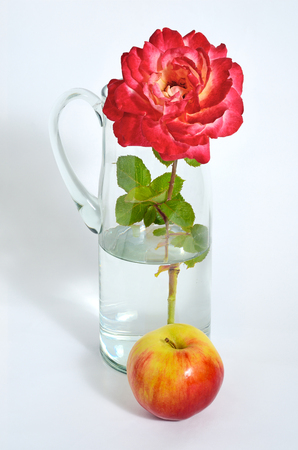 Still life red and yellow rose is in a glass transparent decanter with water, next to the decanter is a red-yellow Apple. Large side and top view.の写真素材