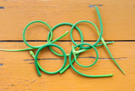 Twisted garlic arrows lie on the wooden yellow floor.の写真素材
