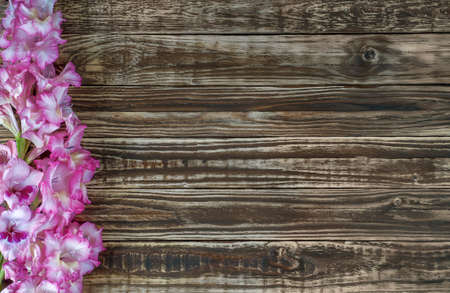 A bouquet of gladioli flowers with white pink petals on the background of a wooden table close-up, top view, like a desktop wallpaper or a greeting card.の写真素材