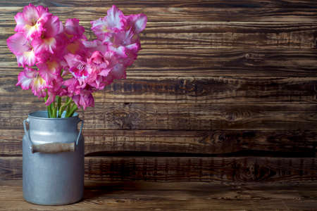 A bouquet of pink gladioli in a vintage old metal jug can on a wooden table against the background of old boards in a rural house close-up.の写真素材