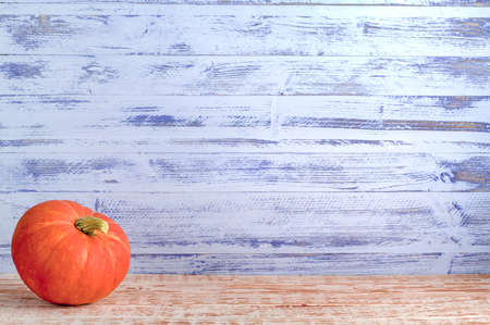 One orange pumpkin for Halloween is lying on a wooden table on a wooden blue background in the countryside close-up.の写真素材