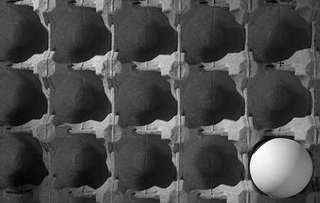 One white chicken egg in a cardboard textured paper package. The image is black and white...