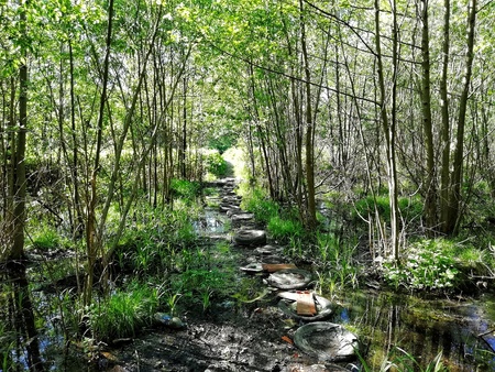 wey to everyday lifeの写真素材