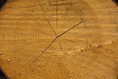 wood backgroundの写真素材