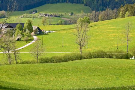 alpine farm land in austria