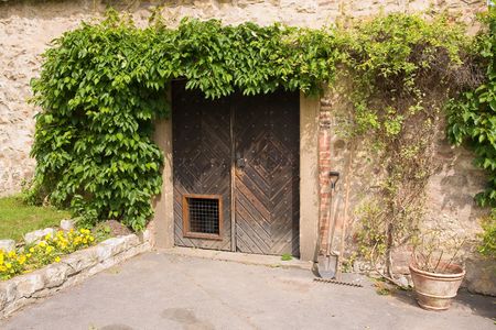 old entrance with with bushesの写真素材