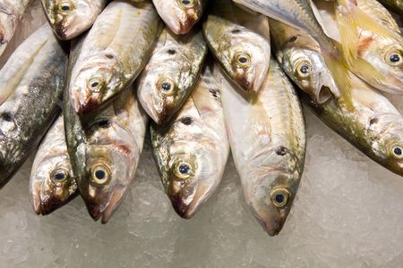 fresh fish on the marketの写真素材