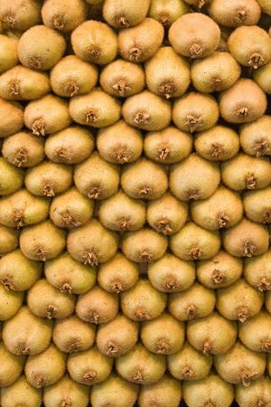 background made of fresh green kiwiの写真素材