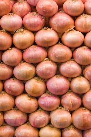 background made of fresh onionの写真素材