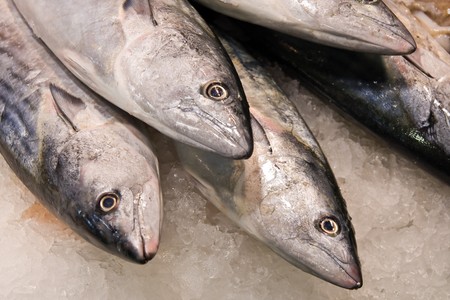 fresh fish on the marketの写真素材