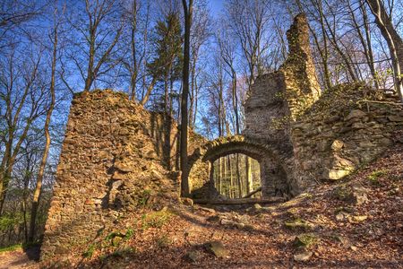 medieval castle ruins  in the forestの写真素材