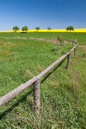 rape field in the springtimeの写真素材