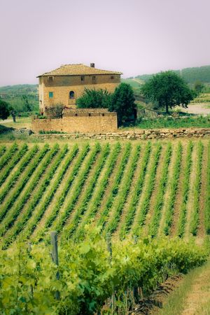 typical landscape in Italian region Tuscanyの写真素材