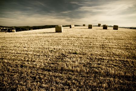 typical landscape in Italian region Tuscanyの写真素材