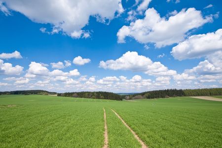 farmland landscape in the springtimeの写真素材